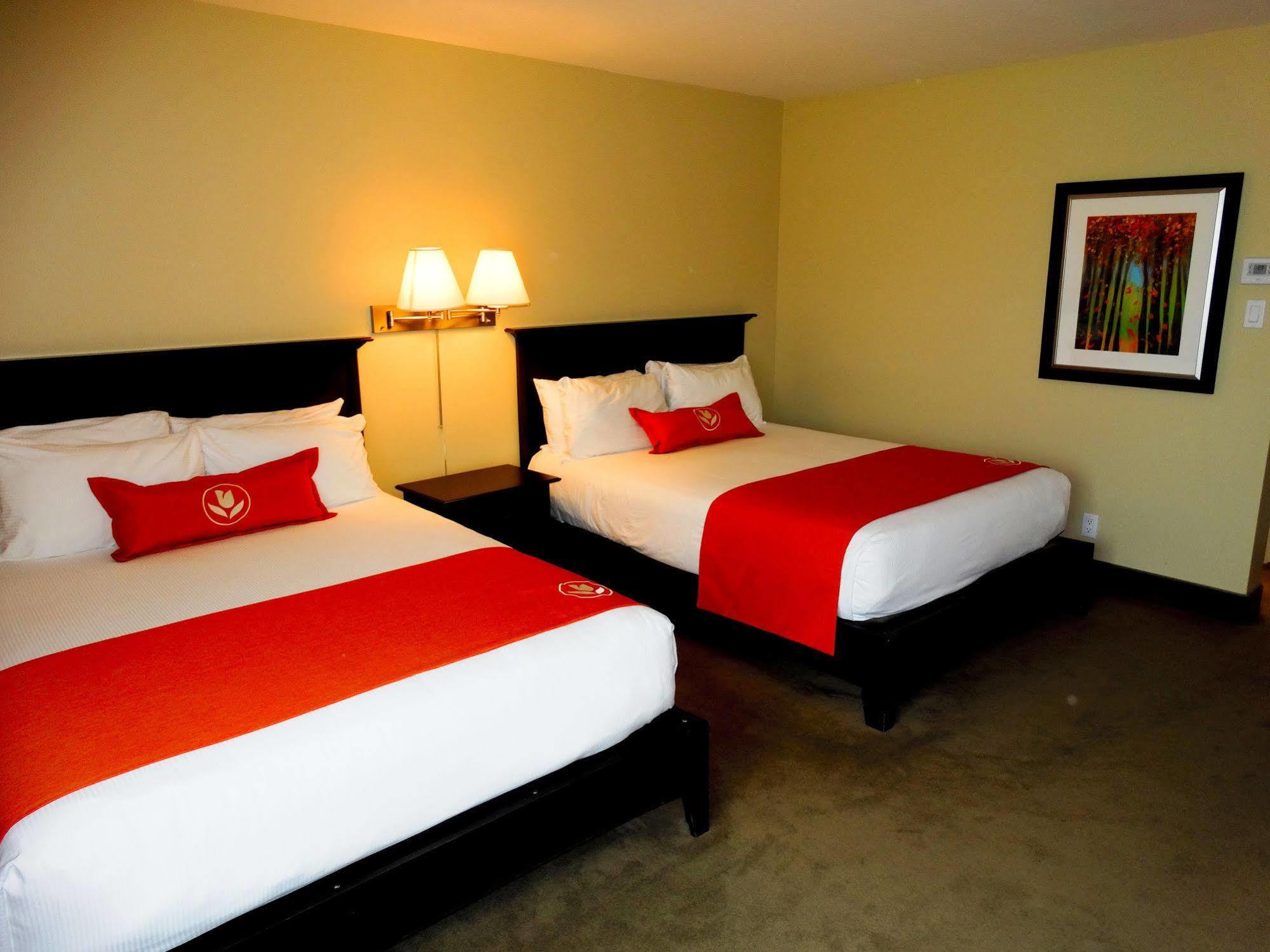 Amsterdam Inn & Suites Sussex Exterior photo
